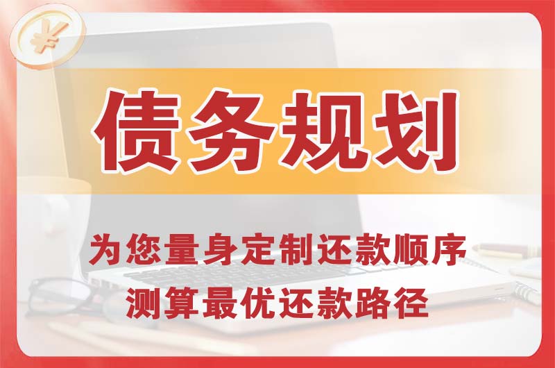 内乡债务规划